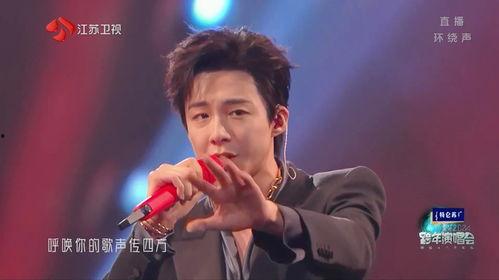 更好2025江苏卫视跨年演唱会,璀璨星光，共赴新年盛宴