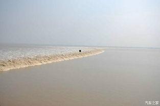 春潮涌动,新时代的蓬勃发展与美好愿景