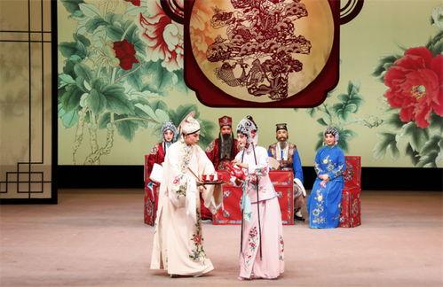 花为媒,探寻自然之美与人文情怀的交融