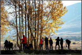 秋天 2015,岁月静好，时光如诗