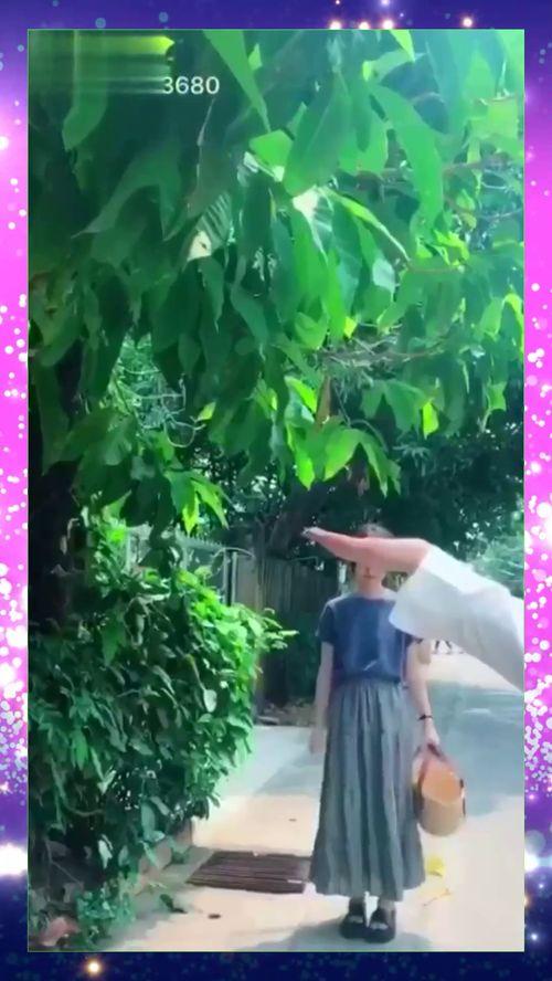 我的万人迷女友,她如何成为我的心动女神