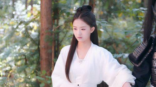 山有木兮木有心,探寻自然与心灵的和谐共鸣